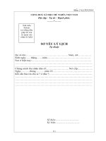 Mẫu Sơ yếu lý lịch dành cho đối tượng dự thi công chức thuế