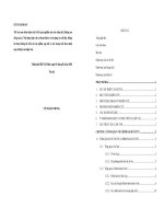 Hoàn thiện chính sách cổ tức của các Công ty thủy sản niêm yết trên Sở giao dịch Chứng khoán TP. Hồ Chí Minh