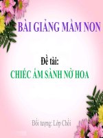 Bài giảng điện tử mầm non lớp Chồi đề tài Chiếc ấm sành nở hoa