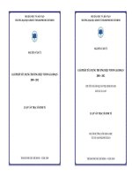 Giải pháp xây dựng thương hiệu Vifon giai đoạn 2008  2012