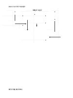 Tổ chức kế toán NVL tại công ty cổ phần XNK minh tân 