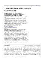 (Bactericidal effect of silver nanoparticles