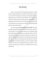 Một số tấn công vào hệ mật mã RSA 