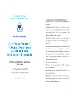 Hệ thống thông tin kế toán tại công ty TNHH Maersk Việt Nam  Thực trạng và giải pháp