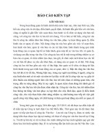 Báo cáo kiến tập văn thư và lưu trữ tại Công ty lưới điện Cao thế Miền Bắc