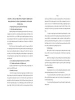 Giải pháp phát triển nghiệp vụ kinh doanh ngoại tệ bằng các công cụ phái sinh tại Ngân hàng ngoại thương  Chi nhánh TP