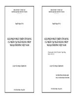 GIẢI PHÁP PHÁT TRIỂN TÍN DỤNG CÁ NHÂN TẠI NGÂN HÀNG TMCP NGOẠI THƯƠNG VIỆT NAM