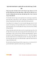 Quá trình hình thành và phát triển của thai nhi trong 12 tuần đầu