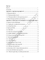 Xây dựng hệ thống bán hàng qua mạng cho công ty máy tính hải nam