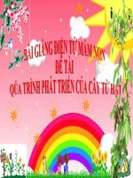 Bài giảng điện tử mầm non lớp Chồi đề tài Quá trình phát triển của cây từ hạt