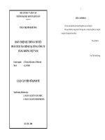 Hoàn thiện hệ thống chỉ tiêu phân tích tài chính tại Tổng Công ty Hàng không Việt Nam