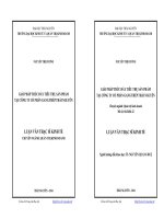 Giải pháp thúc đẩy tiêu thụ sản phẩm tại Công ty Cổ phần gang thép Thái Nguyên