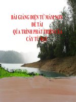Bài giảng điện tử mầm non lớp Chồi đề tài Quá trình phát triển của cây từ hạt