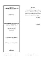 Giải pháp sử dụng hiệu quả nguồn nhân lực tại Bưu điện tỉnh Thái Nguyên