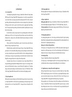 Giải pháp nâng cao hiệu quả hoạt động sản xuất kinh doanh của Công Ty Cổ Phần Đầu Tư Phát Triển Cường Thuận IDICO đến năm 2020