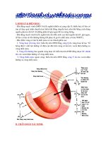 Điện tâm đồ của nhồi máu cơ tim