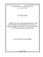 Nghiên cứu một số đặc điểm sinh học và kỹ thuật trồng rừng Sồi phảng (Lithocarpus fissus (Champ. ex Benth.) A.Camus) phục vụ sản xuất gỗ lớn ở vùng Trung tâm và Đông Bắc Bộ