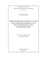 Nghiên cứu hình thái và giải phẫu lá của một số loài thuộc họ đước (rhizophoraceae) tại khu dự trữ sinh quyển cần giờ thành phố hồ chí minh