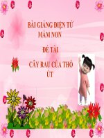 Bài giảng điện tử mầm non lớp Chồi đề tài Cây rau của Thỏ út