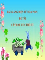 Bài giảng điện tử mầm non lớp Chồi đề tài Cây rau của Thỏ út