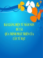 Bài giảng điện tử mầm non lớp Chồi đề tài Quá trình phát triển của cây từ hạt