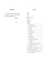 Hoạch định chiến lược thâm nhập thị trường thế giới cho sản phẩm chè của Việt Nam