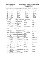 De HSG tieng anh 6 moi