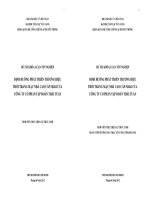 Khóa luận tốt nghiệp Định hướng phát triển thương hiệu thời trang mặc nhà cao cấp silki của Công ty cổ phần tập đoàn Thái Tuấn