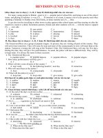 n tập kiểm tra 1 tiết bài 12, 13, 14 tiếng Anh lớp 10