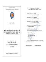 Khắc phục rủi ro của nhà đầu tư cá nhân tại thị trường chứng khoán Việt Nam (sàn giao dịch thành phố Hồ Chí Minh)