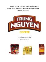 tiểu luận cao học THỰC TRẠNG và GIẢI  PHÁP  PHÁT TRIỂN KÊNH  PHÂN PHỐI của DOANH  NGHIỆP cà PHÊ  TRUNG NGUYÊN