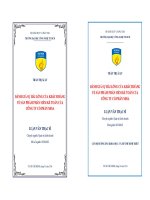 Đánh giá sự hài lòng của khách hàng về sản phẩm phần mềm kế toán của công ty cổ phần Misa