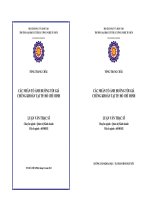 Các nhân tố ảnh hưởng tới giá chứng khoán tại thành phố Hồ Chí Minh