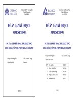 Lập kế hoạch Marketing cho dòng sản phẩm Nokia Lumia 920