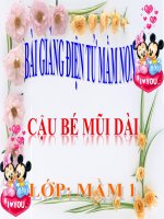 Bài giảng điện tử mầm non lớp Mầm đề tài Cậu bé mũi dài