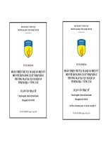 Hoàn thiện thủ tục hải quan điện tử đối với hàng hóa xuất nhập khẩu thương mại tại cục hải quan tỉnh Bà Rịa Vũng Tàu