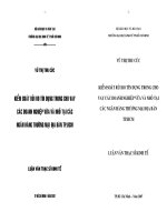 Kiểm soát rủi ro tín dụng trong cho vay các doanh nghiệp vừa và nhỏ tại các ngân hàng Thương Mại địa bàn thành phố Hồ Chí Minh