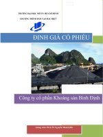 Phân tích và định giá cổ phiếu Công ty cổ phần Khoáng sản Bình Định (BMC)