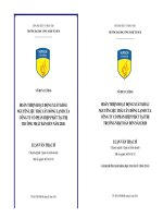 Hoàn thiện hoạt động xuất khẩu nguyên liệu trái cây đông lạnh của công ty cổ phần Hiệp Phát tại thị trường Nhật Bản đến năm 2020