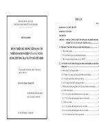 Hoàn thiện hệ thống xếp hạng tín nhiệm doanh nghiệp của các ngân hàng Thương Mại tại Tp Hồ Chí Minh