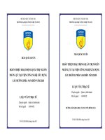 Hoàn thiện hoạt động quản trị nguồn nhân lực tại viện công nghệ xây dựng cầu đường phía nam đến năm 2020