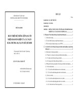 Giải pháp hoàn thiện thẩm định tài chính dự án đầu tư và kinh doanh bất động sản phức hợp