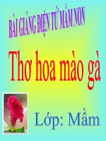 Bài giảng điện tử mầm non lớp Mầm đề tài Thơ Hoa mào gà