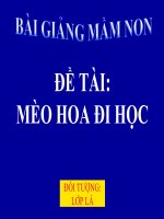 Bài giảng điện tử mầm non lớp Lá đề tài Mèo hoa đi học