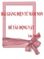 Bài giảng điện tử mầm non Lớp nhà trẻ đề tài Động vật
