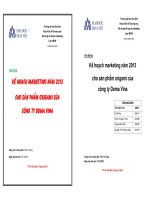 Kế hoạch Marketing năm 2013 cho sản phẩm Origami của Công ty Doma Vina