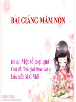 Bài giảng điện tử mầm non lớp Chồi đề tài Một số loại quả