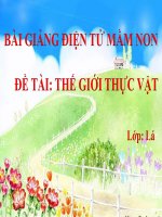Bài giảng điện tử mầm non lớp Lá đề tài Thế giới thực vật