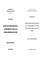 Kiểm soát rủi ro tín dụng trong cho vay các doanh nghiệp vừa và nhỏ tại các Ngân hàng Thương mại địa bàn TP