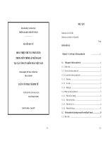 Hoàn thiện thủ tục phân tích trong tiến trình lập kế hoạch tại các công ty kiểm toán Việt Nam